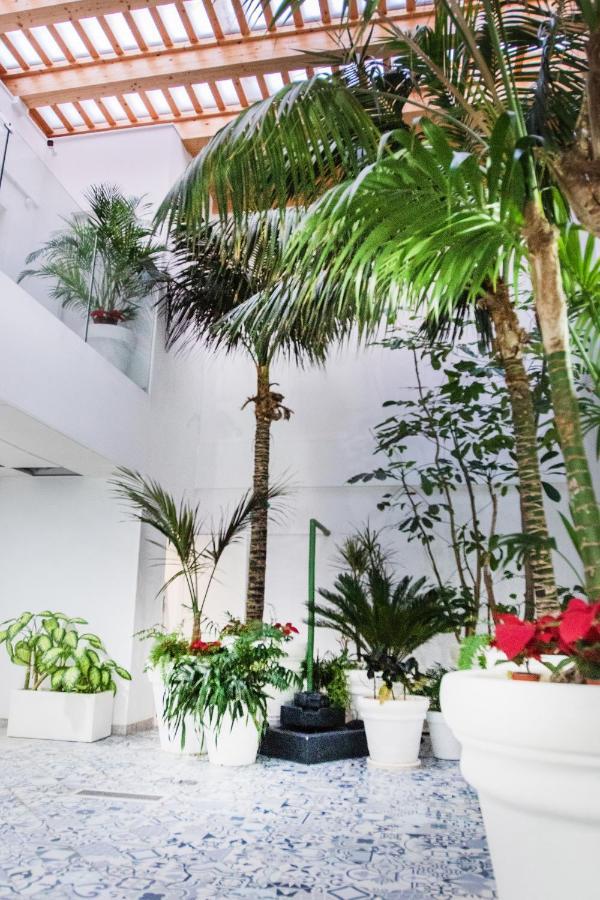 Coccoloba Suites Corralejo Exteriér fotografie